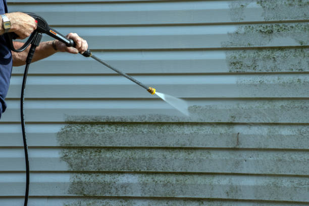 Best House Exterior Washing  in Candor, NC